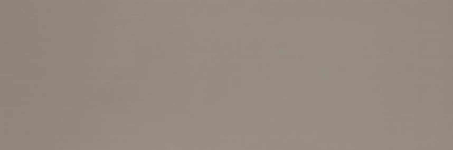 Colourline Taupe MLE2 22*66.2