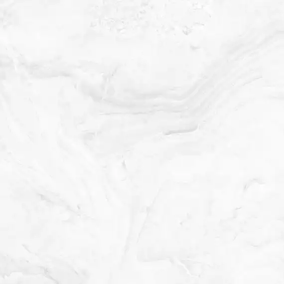 Constance Grey light PG 01 60x60