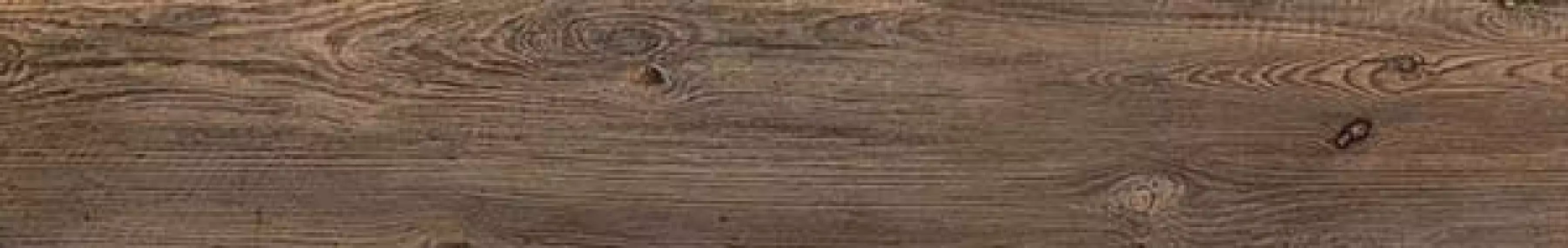 Cortone marrone 19.3*120.2