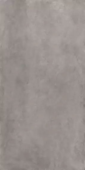 Cosmopolita Grey Matt 160x320