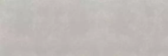 Coverlam Basic Gris 3.5mm 100x300
