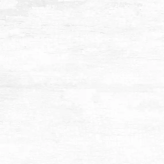 Creta Blanco GP6CRE00 Керамогранит 41*41