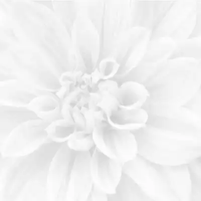 Crisantemo Панно 36-05-00-463-0 60х60