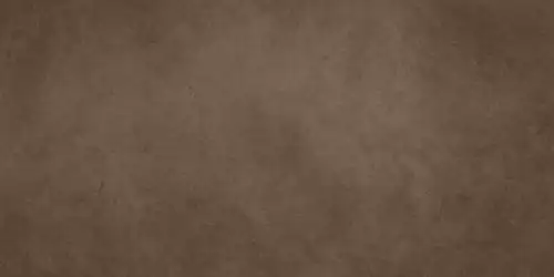 D065 (AW9M) Dwell Brown Leather 30x60