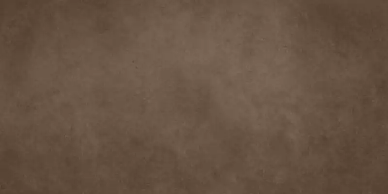 D065 (AW9M) Dwell Brown Leather 30x60