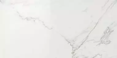 D095 (5N3A) Marvel Calacatta Extra Matt 30x60