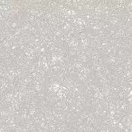 DAK26824 Linka white-grey R10 20x20