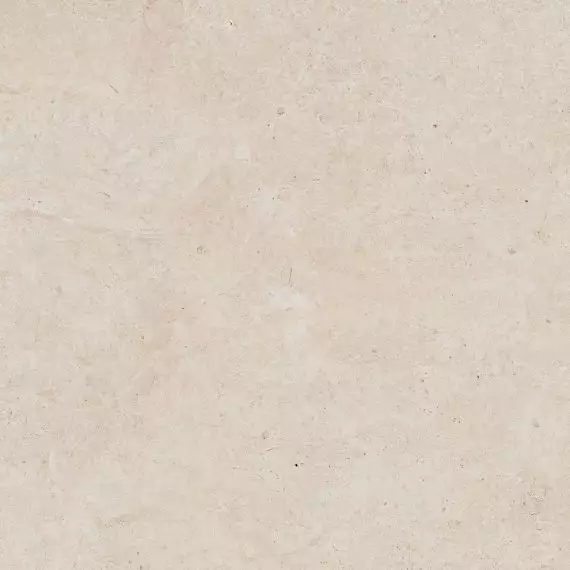 DAK63801 LIMESTONE 60x60