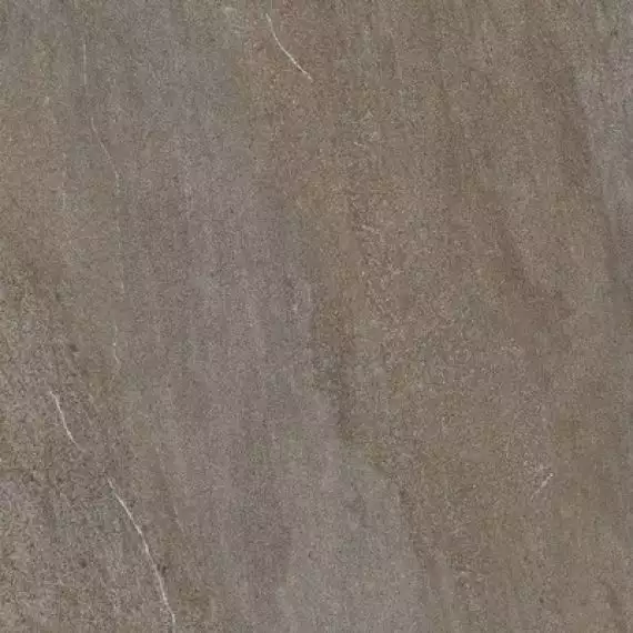 DAK81736 Quarzit Brown 80x80