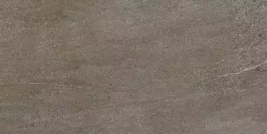 DAK84736 Quarzit Brown 40x80