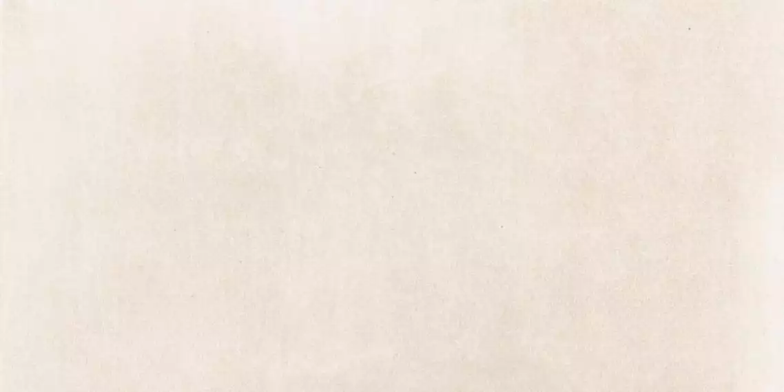 DAK84743 Rebel Beige 40x80