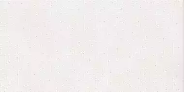 DAKV1795 Betonico white-grey R10 60x120