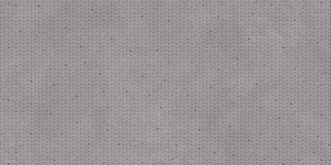 DAKV1796 Betonico grey R10 60x120