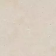 DAL63801 LIMESTONE 60x60