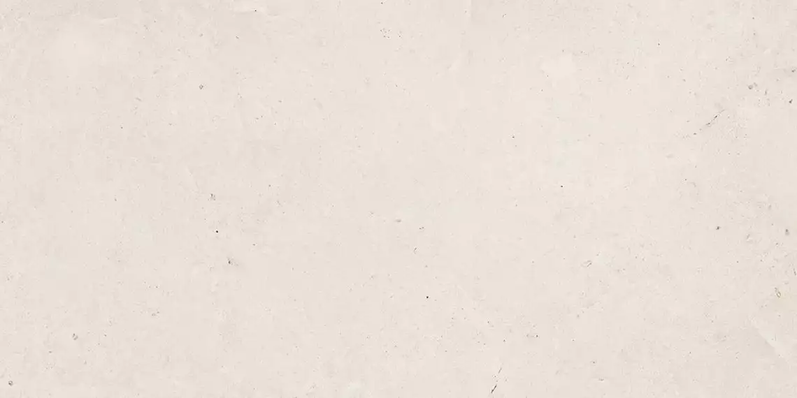 DALSE800 LIMESTONE 30x60
