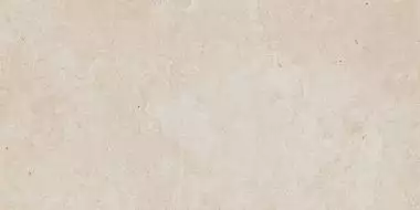 DALSE801 LIMESTONE 30x60