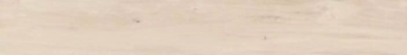 DAMA6 2015A RM 20x150