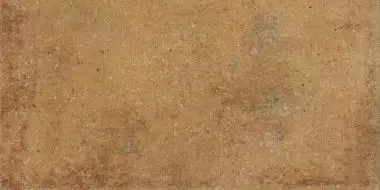 DARPT664 Siena brown R9 22,5x45