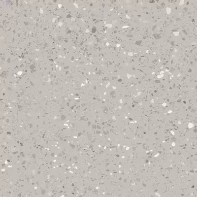 DAS63811 Porfido grey R10 60x60