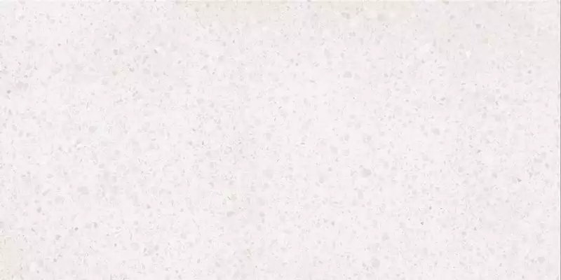 DASV1810 Porfido white R10 60x120