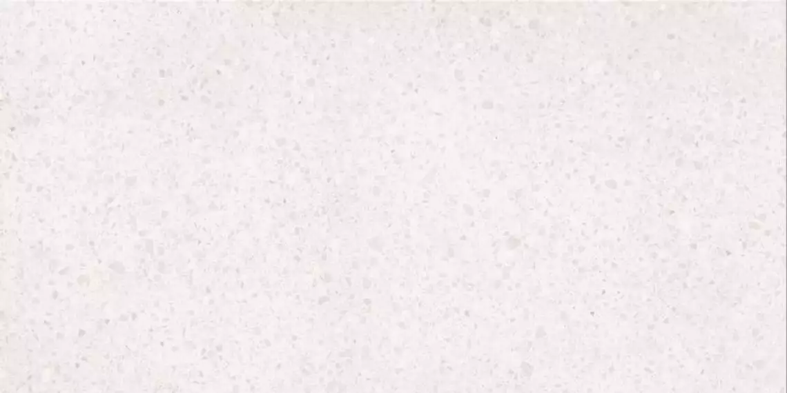 DASV1810 Porfido white R10 60x120