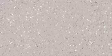 DASV1811 Porfido grey R10 60x120