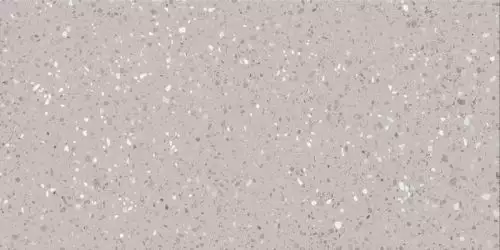 DASV1811 Porfido grey R10 60x120