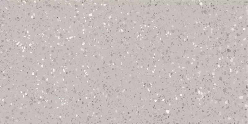 DASV1811 Porfido grey R10 60x120