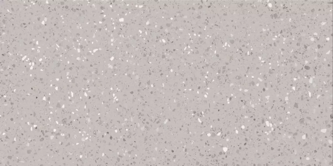 DASV1811 Porfido grey R10 60x120