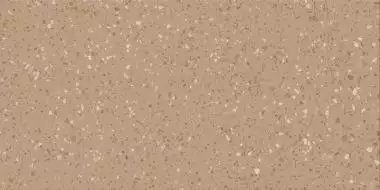 DASV1814 Porfido ochre R10 60x120