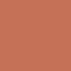 DB_010 Керамогранит Poly Tangarine 20х20