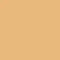 DB_012 Керамогранит Poly Mustard 20х20