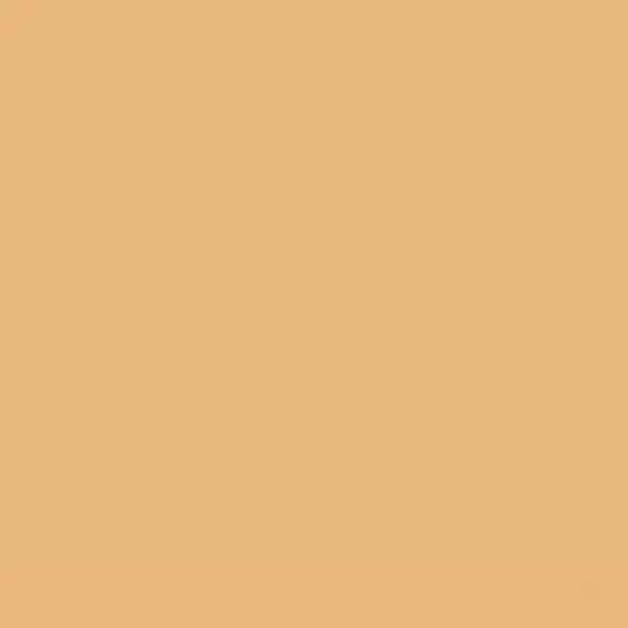 DB_012 Керамогранит Poly Mustard 20х20