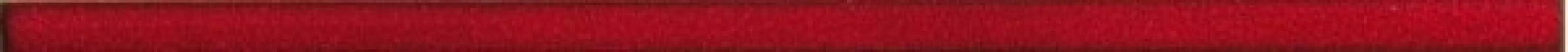 DDRSN971 FASHION red 2x60