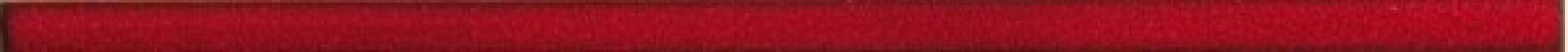 DDRSN971 FASHION red 2x60