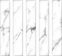 DESERT SATUARIO 20x120