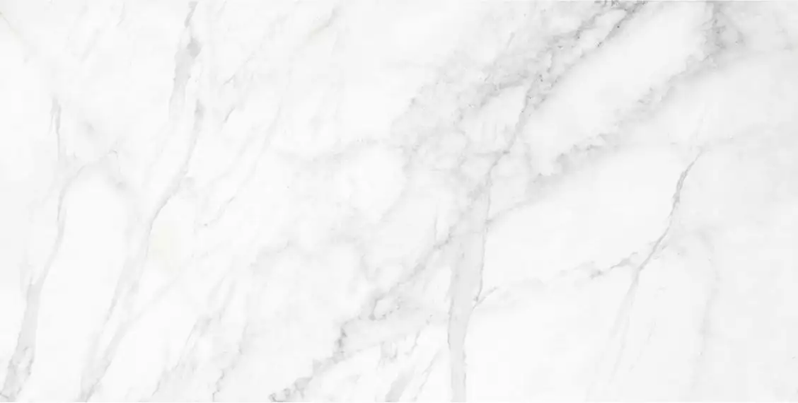 DIANA Elegant / Диана Элегант PGR 60x120