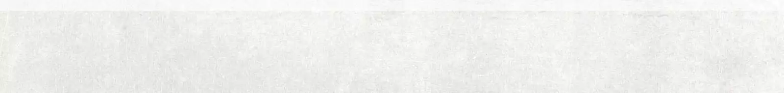 DSA89740 Rebel White-Grey 9.5x80