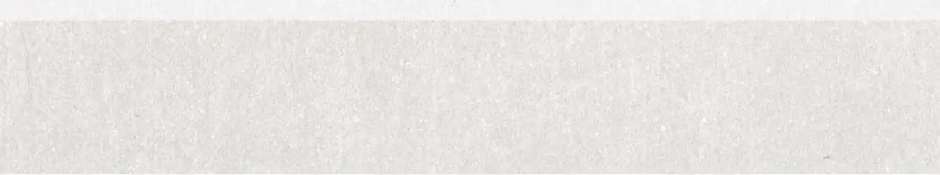DSAPS740 Rebel white-grey 8.5x45
