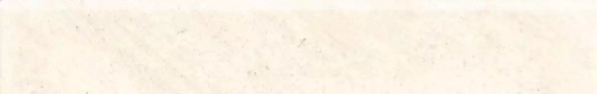 DSAS4670 Sandy light beige 60x9,5