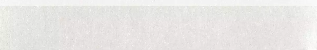 DSAS4740 Rebel White-Grey 9.5x60