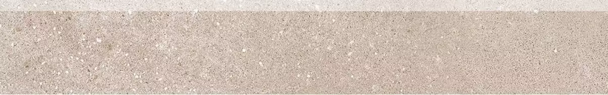 DSAS4794 BETONICO 9.5x60