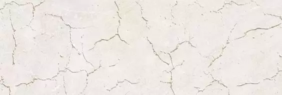 DWU12LRG07R Декор Largo 24,6х74