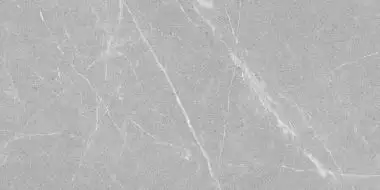 Dakota Gris Antislip R12 60x120