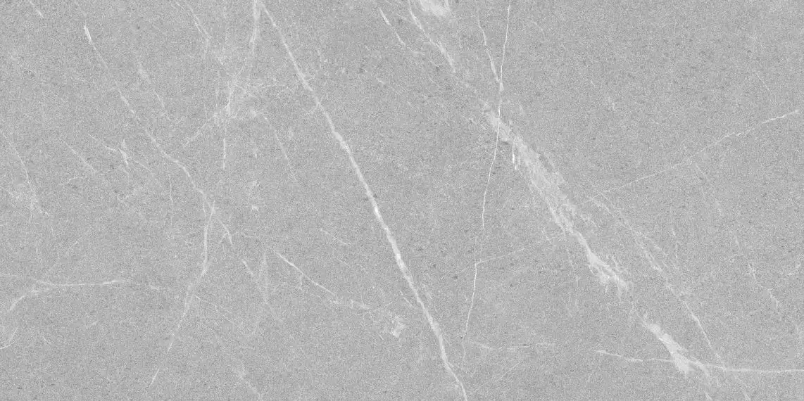 Dakota Gris Antislip R12 60x120