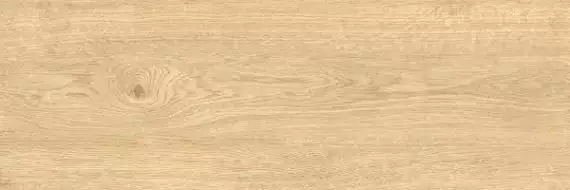 Dante Beige бежевый матовый 19,7x60