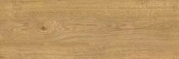 Dante Natural коричневый матовый 19,7x60