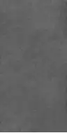 Dark Grey Karpi 59.6x119.6