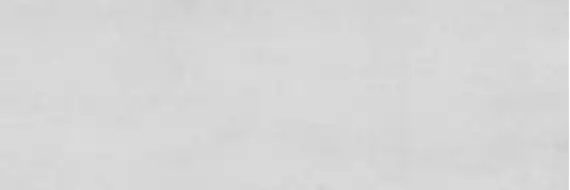 Decorwall Pearl 25x75