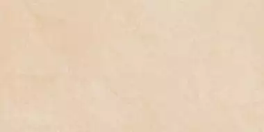 Delux Beige Refl. Rett 29,5х59